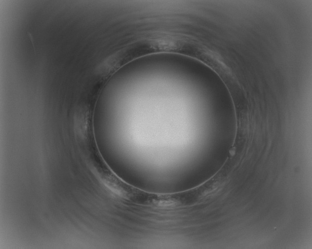X0000071380645200606231247