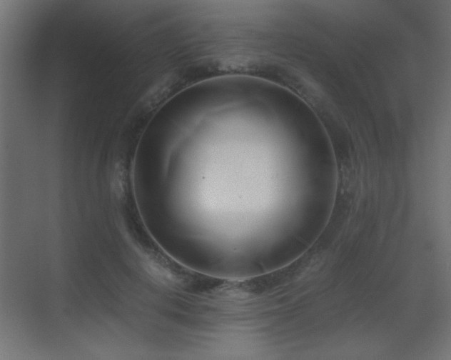X0000071380648200606231247
