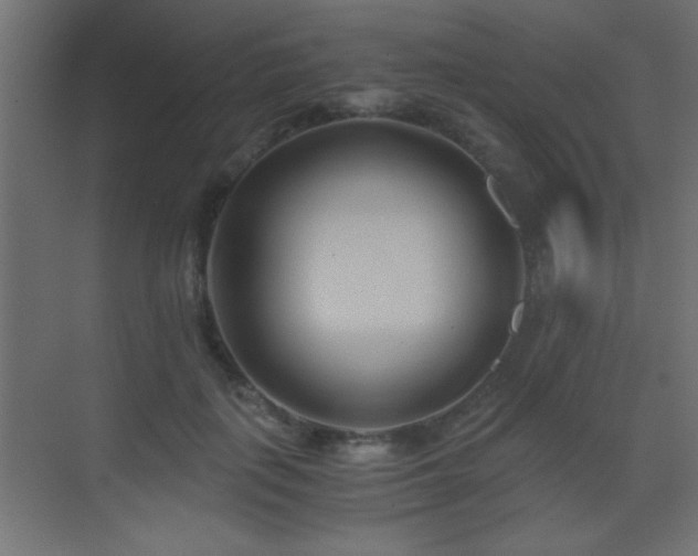 X0000071380651200606231247
