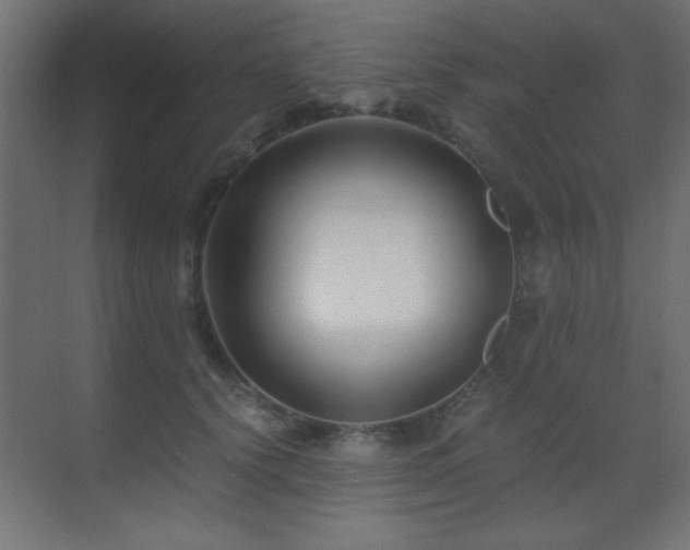 X0000071380656200606231247