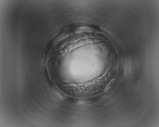 X0000071380657200606231247