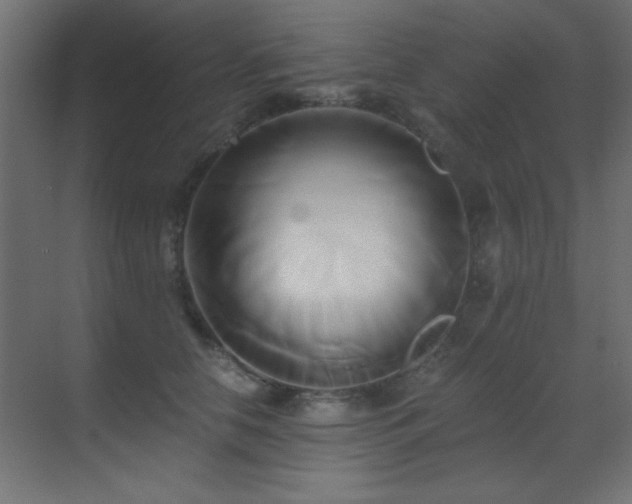 X0000071380658200606231247