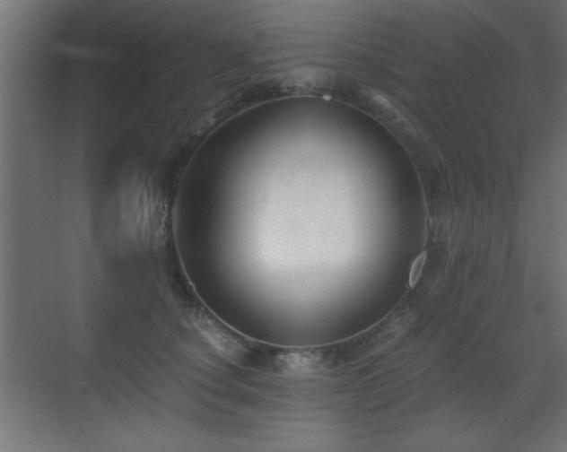X0000071380660200606231247