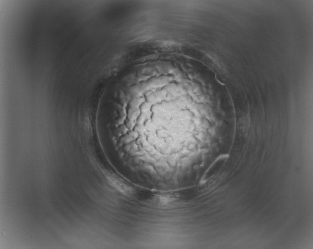 X0000071380662200606231247