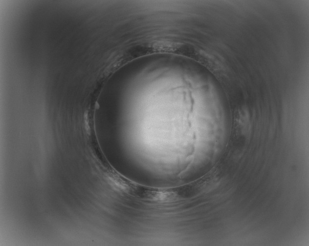 X0000071380663200606231247
