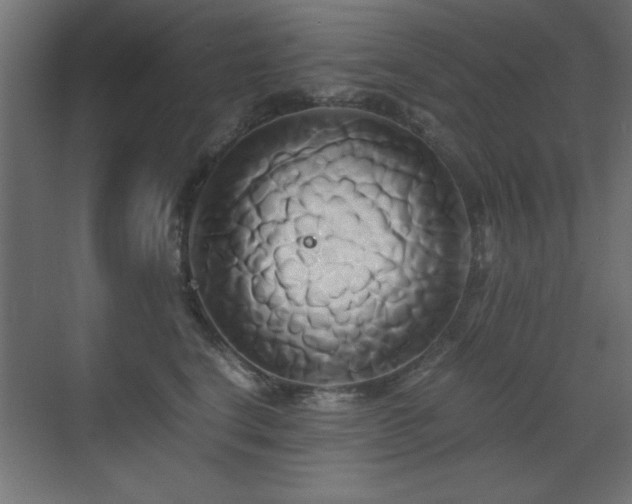 X0000071380664200606231247