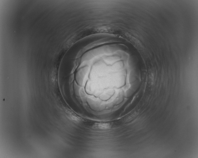 X0000071380665200606231247