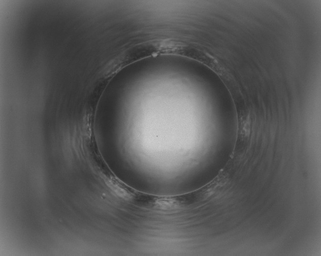 X0000071380666200606231247