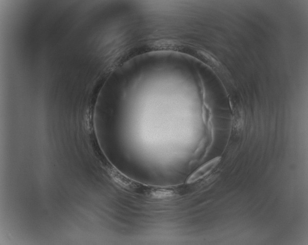X0000071380669200606231247