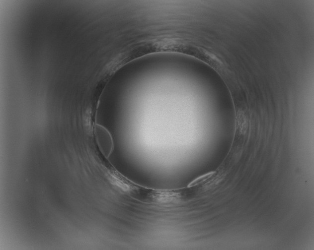 X0000071380670200606231247