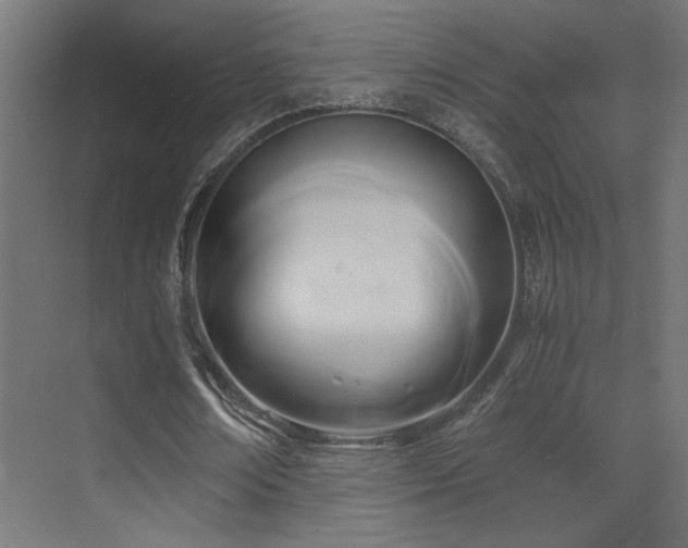 X0000071380674200606231246
