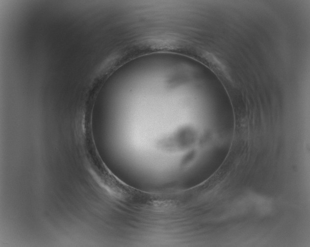 X0000071380686200606231246