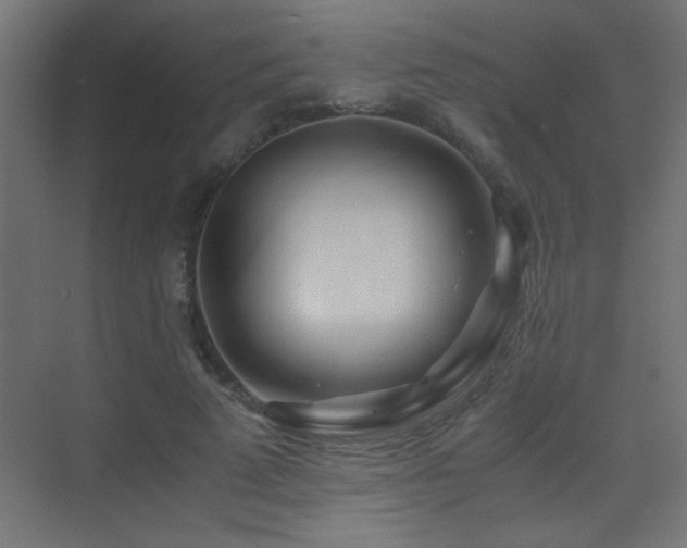 X0000071380689200606231246