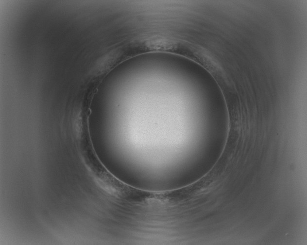 X0000071380690200606231246