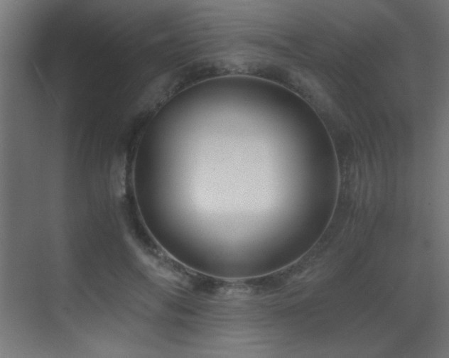 X0000071380694200606231246