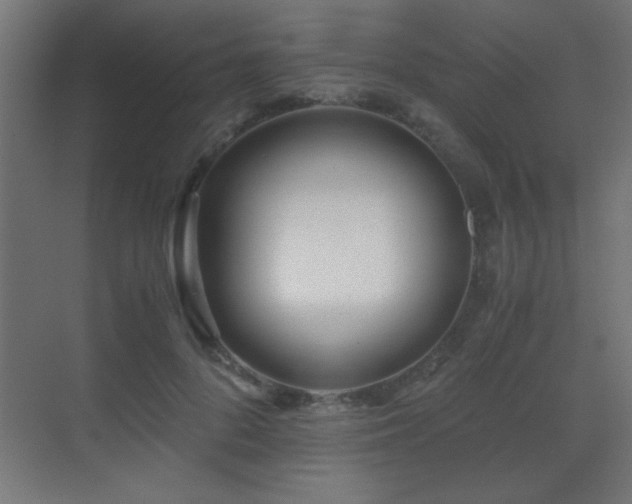 X0000071380696200606231246