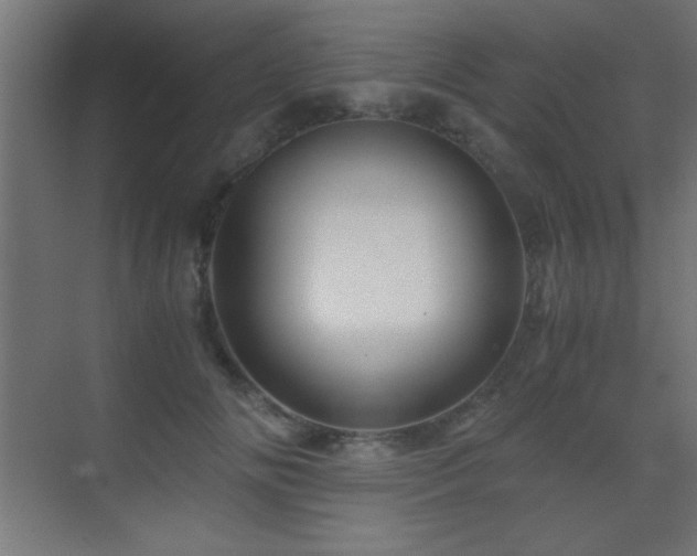 X0000071380702200606231246