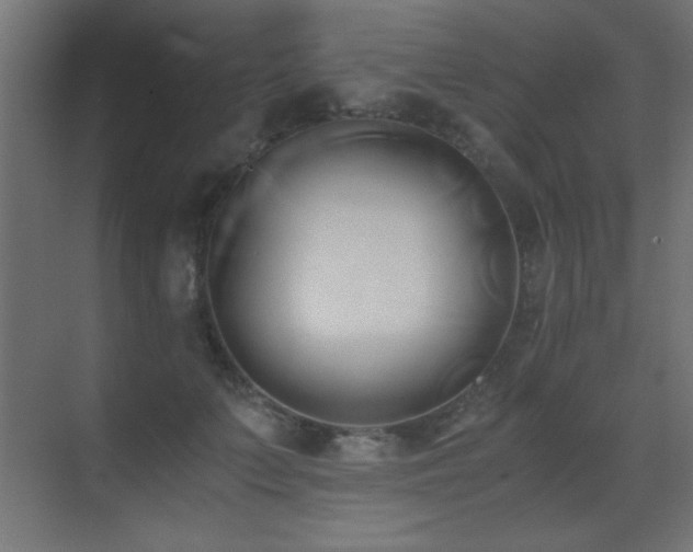 X0000071380703200606231246