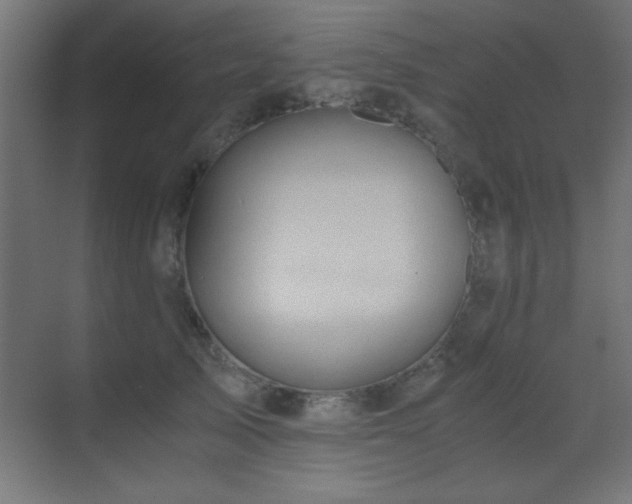 X0000071380705200606231246