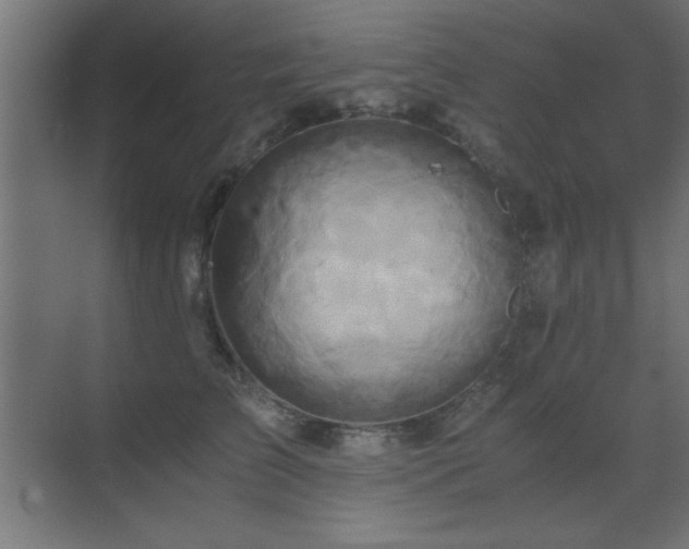 X0000071380709200606231246