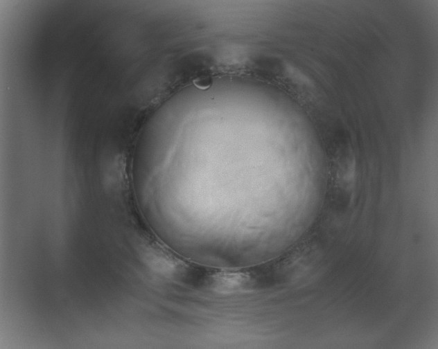 X0000071380711200606231246