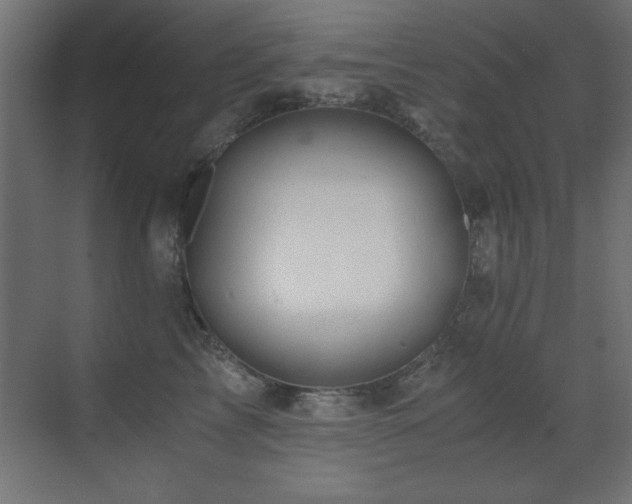 X0000071380713200606231246