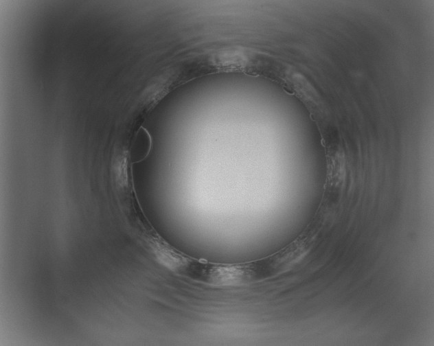 X0000071380717200606231246