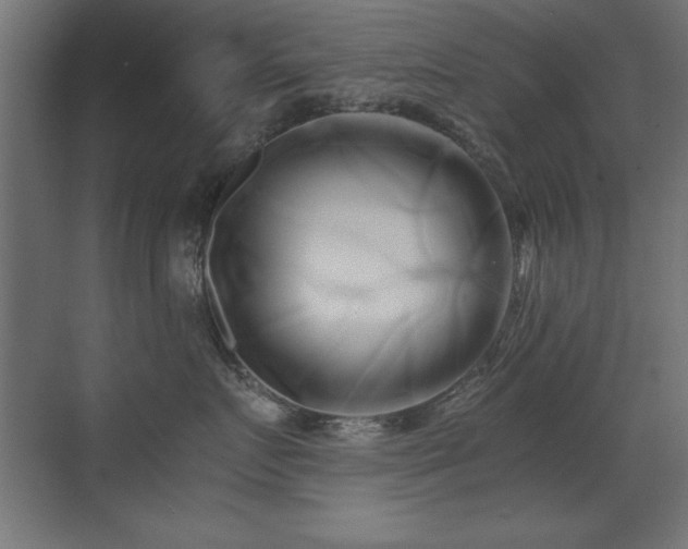 X0000071380719200606231246