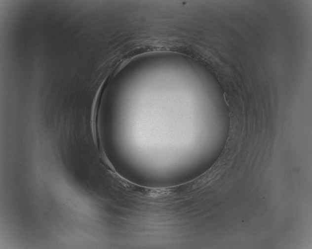 X0000071380720200606231246