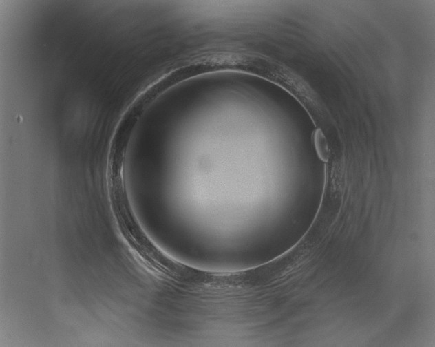 X0000071380722200606231245