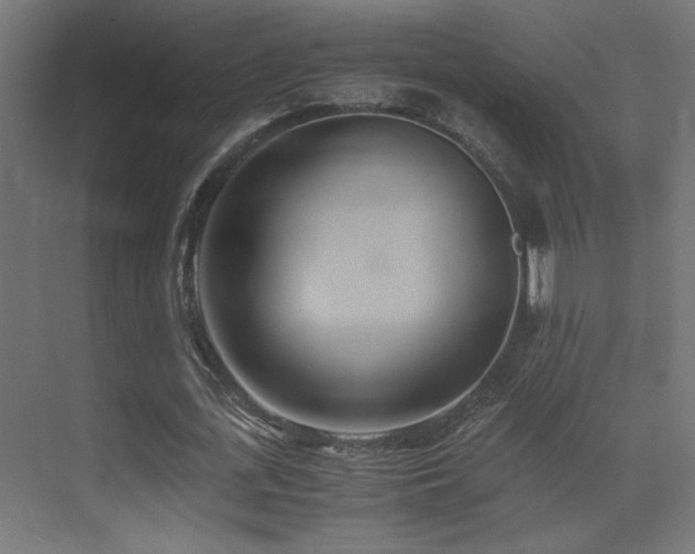 X0000071380723200606231245