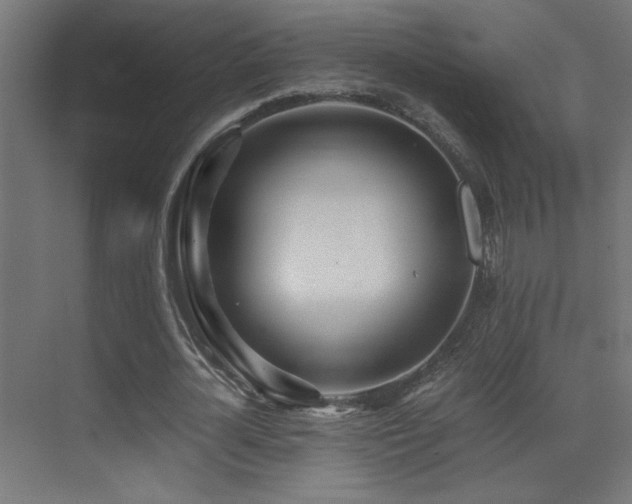 X0000071380724200606231245