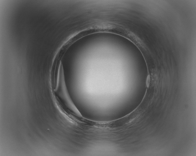 X0000071380726200606231245
