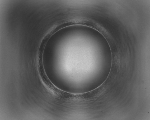 X0000071380730200606231245