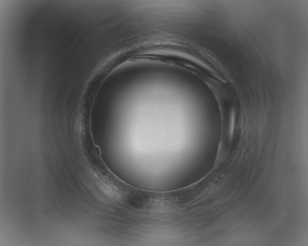 X0000071380732200606231245