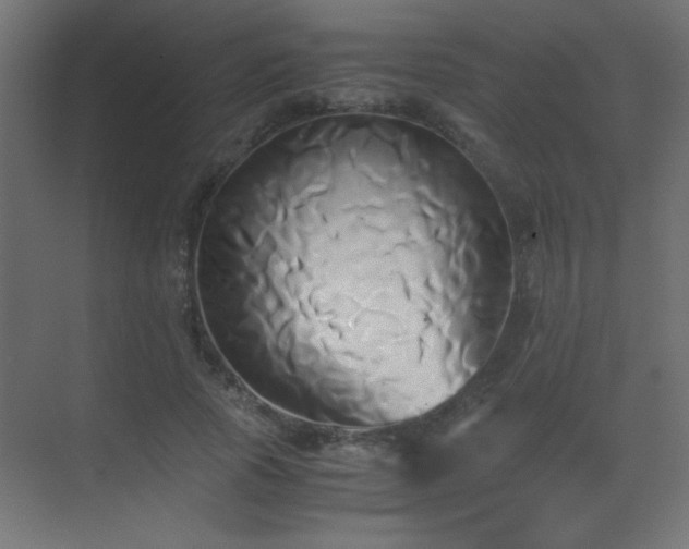 X0000071380737200606231245