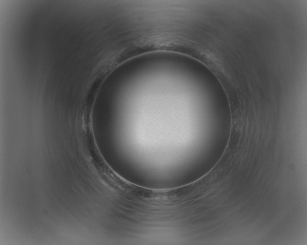 X0000071380740200606231245