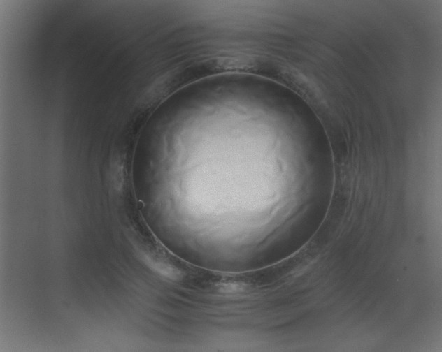 X0000071380741200606231245