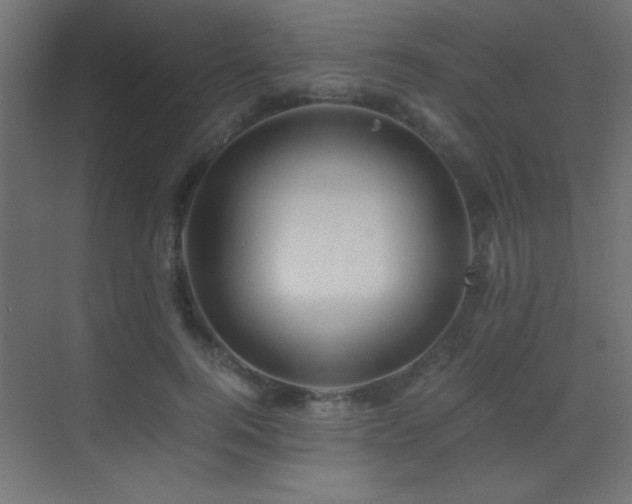 X0000071380744200606231245