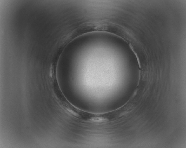 X0000071380748200606231245