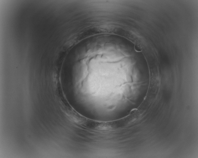 X0000071380749200606231245