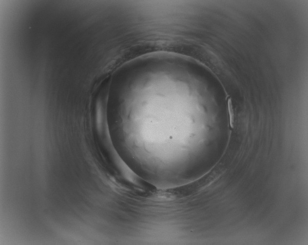 X0000071380750200606231245