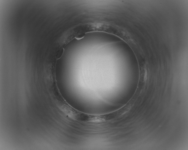X0000071380754200606231245
