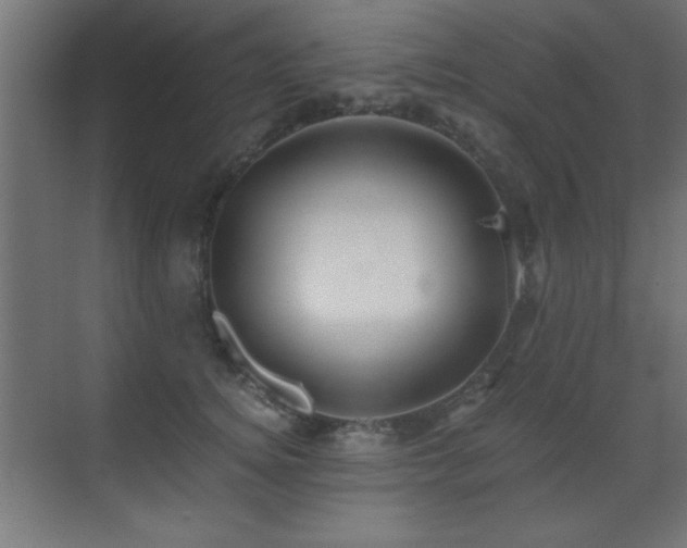 X0000071380756200606231245
