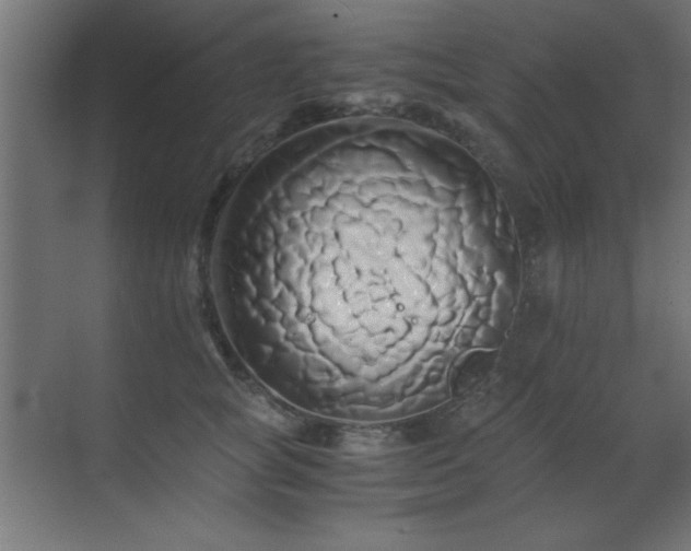 X0000071380757200606231245