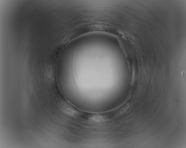 X0000071380759200606231246