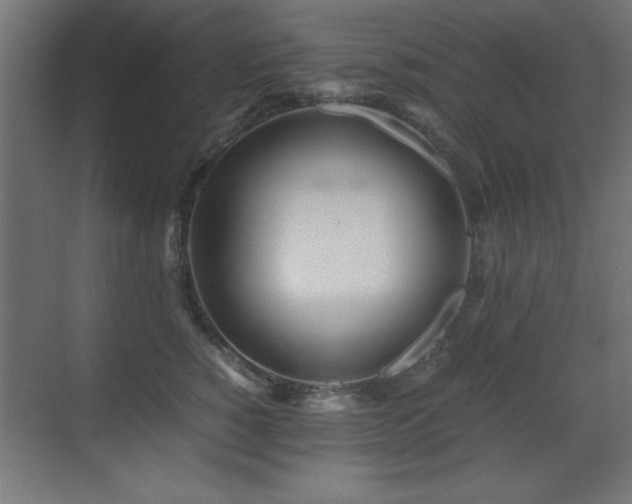 X0000071380760200606231246
