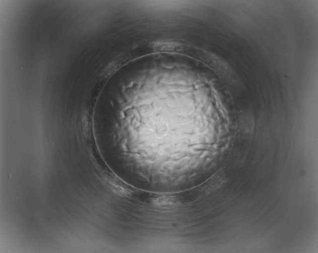X0000071380761200606231246
