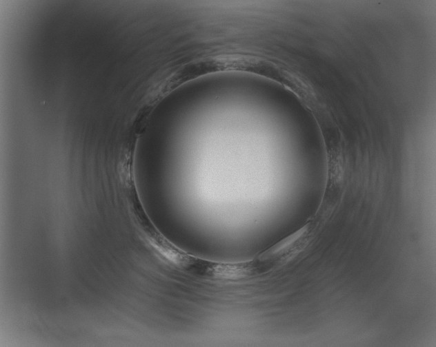 X0000071380766200606231246