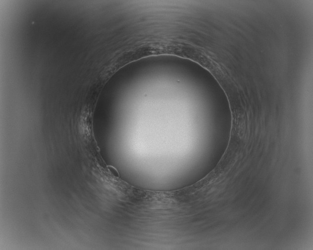 X0000071380770200606231245